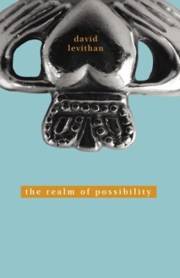 Review: The Realm of Possibility by David Levithan